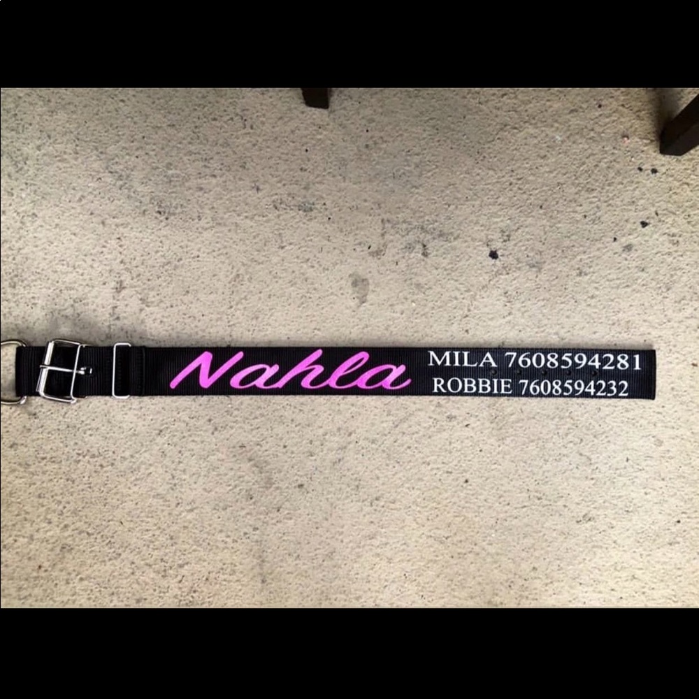 Custom Dog Collars! - Picture 7 of 8